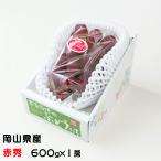  подарок по случаю конца года виноград мускат biore красный превосходящий 600g×1. Okayama префектура производство .. виноград подарок ваш заказ 