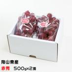  подарок по случаю конца года виноград мускат biore красный превосходящий 500g×2. Okayama префектура производство .. виноград подарок ваш заказ 
