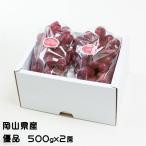 подарок по случаю конца года виноград мускат biore super товар 500g×2. Okayama префектура производство .. виноград подарок ваш заказ 