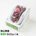  виноград мускат biore способ. баловство немного есть перевод 600g×1. Okayama префектура производство .. виноград подарок ваш заказ 