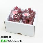  подарок по случаю конца года виноград мускат biore способ. баловство немного есть перевод 500g×2. Okayama префектура производство .. виноград подарок ваш заказ 