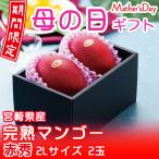 遅れてごめんね 母の日 2025 みやざき完熟マンゴー 赤秀 2L 350ｇ以上×2玉 JA宮崎経済連 宮崎県産 ギフト プレゼント