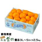 みかん 三ヶ日みかん 本貯蔵青島誉れ 優品 3L〜Sサイズ 2.5kg 静岡県産 JAみっかび ミカン 蜜柑 ギフト