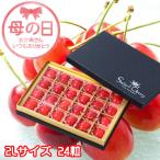 遅れてごめんね 母の日 2025 さくらんぼ 秀品 2Lサイズ 24粒 チョコ箱 山形県産 ギフト お取り寄せグルメ