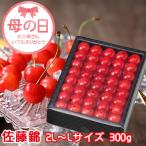 遅れてごめんね 母の日 2025 さくらんぼ 佐藤錦 手詰め 秀品 2L〜Lサイズ 300g 化粧箱 山形県産 ギフト お取り寄せグルメ