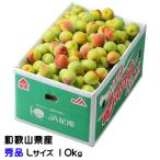 梅 紀州 南高梅 和歌山県産 秀品 Lサイズ 10kg うめ 生梅
