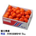  подарок по случаю конца года мандарин маленький ... сырой превосходящий товар размер случайный 5kg Kagawa префектура производство mi can меласса . подарок ваш заказ 