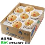  подарок по случаю конца года груша . осень груша ..... нет способ. баловство немного есть перевод размер случайный 5kg Tottori префектура производство груша нет нет подарок 