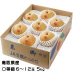 ショッピング梨 梨 王秋梨 おうしゅうなし 〇等級 6〜12玉 5kg 鳥取県産 梨 ナシ なし ギフト