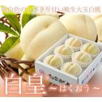  персик белый .. ... Okayama белый персик Ace 4~6 шар 1kg Okayama префектура производство JA...... Momo 