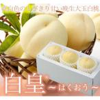  персик белый .. ... Okayama белый персик Ace 2L размер 250g×3 шар Okayama префектура производство JA...... Momo 