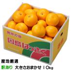 八朔 はっさく 産地厳選 訳あり 大きさおまかせ 10kg ハッサク みかん ミカン
