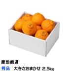 みかん 不知火 しらぬ�