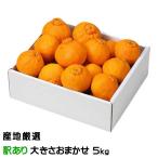 みかん 不知火 しらぬ�