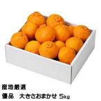 みかん 不知火 しらぬ�