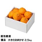 みかん 不知火 しらぬ�