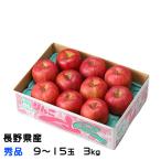 お歳暮 りんご サンふじ 秀品 9〜15玉 3kg 長野県産 信州高山さわやかりんご 林檎 リンゴ