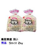商品画像2