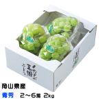  виноград Seto ja Ian tsu синий превосходящий 2~6.2kg Okayama префектура производство JA...... виноград 