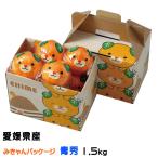 みかん せとか みきゃんパッケージ 青秀 2L〜Mサイズ 6〜10玉 1.5kg みきゃん箱入り 愛媛県産 ミカン 蜜柑 ギフト 贈り物 ギフト