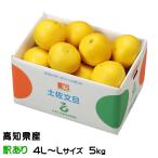 ショッピング果物 ぶんたん 土佐文旦 風のいたずら 訳あり 4L〜L 5kg 高知県産 ブンタン とさぶんたん トサブンタン