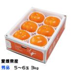  подарок по случаю конца года хурма futoshi небо хурма хочет .... превосходящий товар очень большой шар 5 шар ~6 шар 3kg Ehime префектура производство .. устрица 