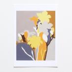 ELOISE RENOUF | Freesias (yellow) | A4 アートプリント/ポスター【ネコポス送料無料 北欧 インテリア ボタニカル アブストラクト】