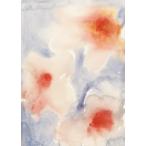 PAPER COLLECTIVE | THREE FLOWERS (LIAT GREENBERG) | アートプリント/アートポスター (50x70cm) 北欧 インテリア おしゃれ