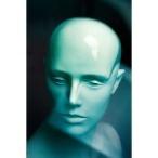 [SALE распродажа ]LINN MORI / METAMORPHOSIS (TAPE)