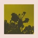 BRIGHT &amp; FINDLAY / SLOW DANCE (12")