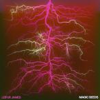 LEIFUR JAMES / MAGIC SEEDS (LP)