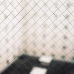 揺らぎ / IN YOUR LANGUAGES (2LP)