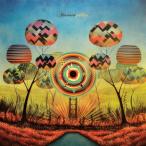 ショッピングMAGICIAN ALMUNIA / PULSAR (2LP)