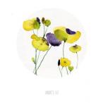 THE CLAY PLAY | YELLOW AND PURPLE POPPIES (no.088) | A3 アートプリント/ポスター