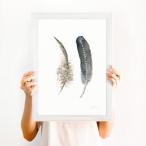 THE CLAY PLAY | WATERCOLOR GREY AND BROWN FEATHER (DOUBLE)(no.377v) | A4 アートプリント/ポスター
