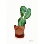 THE CLAY PLAY | CACTUS PRINT (no.607) | A4 アートプリント/ポスター