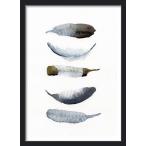 THE CLAY PLAY | WATERCOLOR NORTH BOHO BIRD FEATHERS (no.366) | A2 アートプリント/ポスター