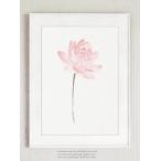 COLOR WATERCOLOR | Lotus Blush Pink Flower Art Print | A3 アートプリント/ポスター