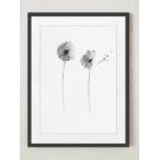 COLOR WATERCOLOR | Gray Dandelion Art Print | A3 アートプリント/ポスター