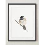 COLOR WATERCOLOR | Chickadee Art Print | A3 アートプリント/ポスター