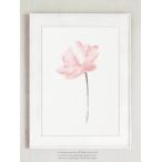 【  メール便送料無料 】COLOR WATERCOLOR | Lotus Blush Pink Flower Art Print #2 | A4 アートプリント/ポスター