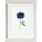 COLOR WATERCOLOR | Hydrangea Flowers Art Print #3 | A3 アートプリント/ポスター