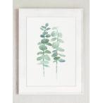 COLOR WATERCOLOR | Eucalyptus Canvas Fine Art Print #1 | A3 アートプリント/ポスター