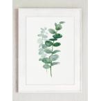 COLOR WATERCOLOR | Eucalyptus Canvas Fine Art Print #2 | A3 アートプリント/ポスター