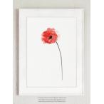 COLOR WATERCOLOR | Red Poppy Flower Art #1 | A3 アートプリント/ポスター