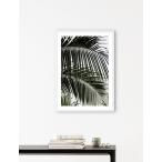 NOUROM | PALM LEAVES #2 | アートプリント/ポスター (50x70cm)