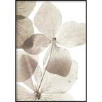 GLAM POSTERS | TRANSPARENT FLOWER POSTER | アートプリント/ポスター (30x40cm)【北欧 リビング インテリア】