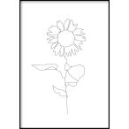 GLAM POSTERS | SUNFLOWER LINE ART POSTER | アートプリント/ポスター (30x40cm)【北欧 リビング インテリア】