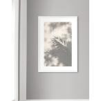 【SALE セール】NOUROM | DUBAI OLD PALM LEAVES SHADOW, UAE2020 | A3 アートプリント/ポスター