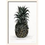 THE CLAY PLAY | WATERCOLOR PINEAPPLE (no.458) | A3 アートプリント/ポスター